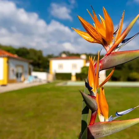 Quinta Do Pé Descalço 4*