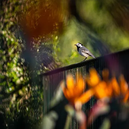 Quinta Do Pe Descalco Bed & Breakfast 3*
