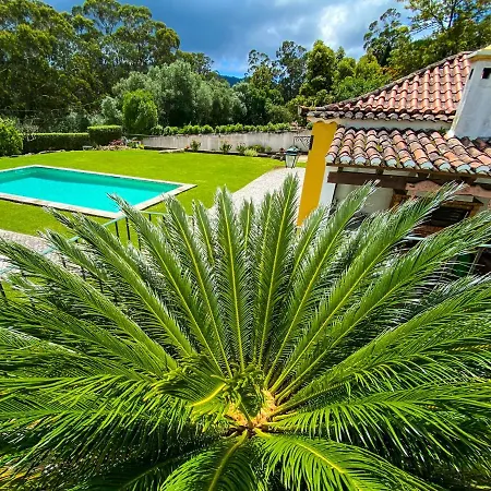 Quinta Do Pe Descalco Frühstückspension