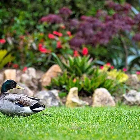 Quinta Do Pe Descalco