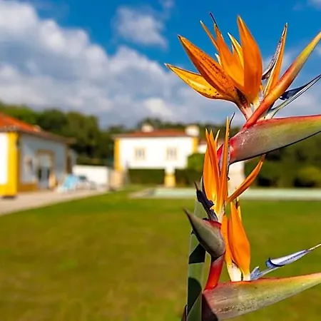 Quinta Do Pe Descalco فندق مبيت وإفطار سينترا