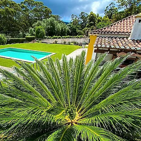 Quinta Do Pe Descalco فندق مبيت وإفطار 4*