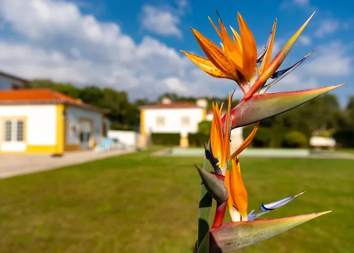 Quinta Do Pe Descalco Guesthouse Sintra 4*